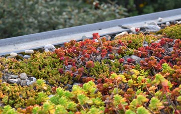 the cost of Cameron Bridge green roof installation